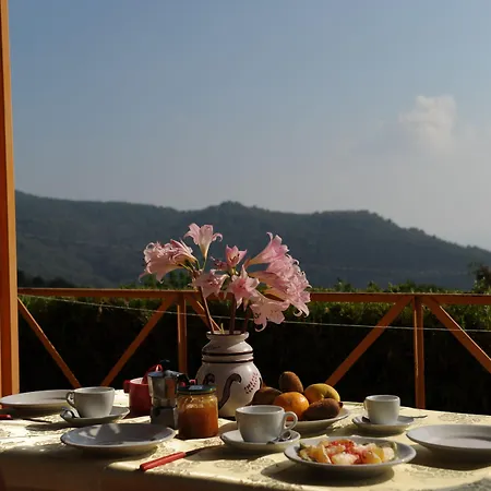 Trivento Aparthotel 2*